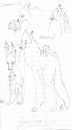 Aniu and Balto <3