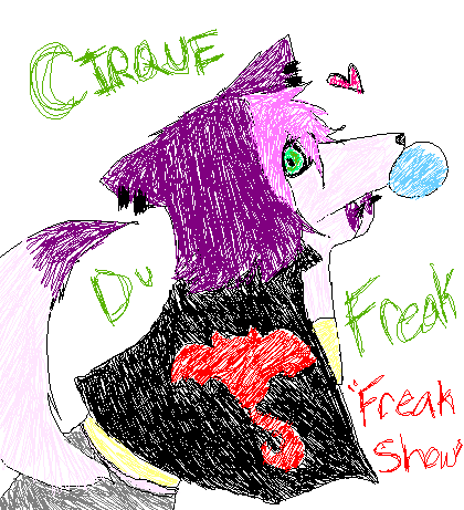 Cirque Du Piccie. o.o