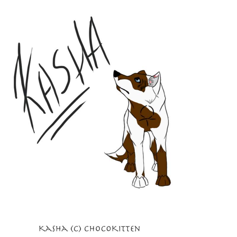 Art Trade - Kasha