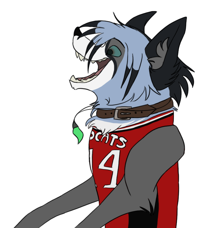 Wildcats!