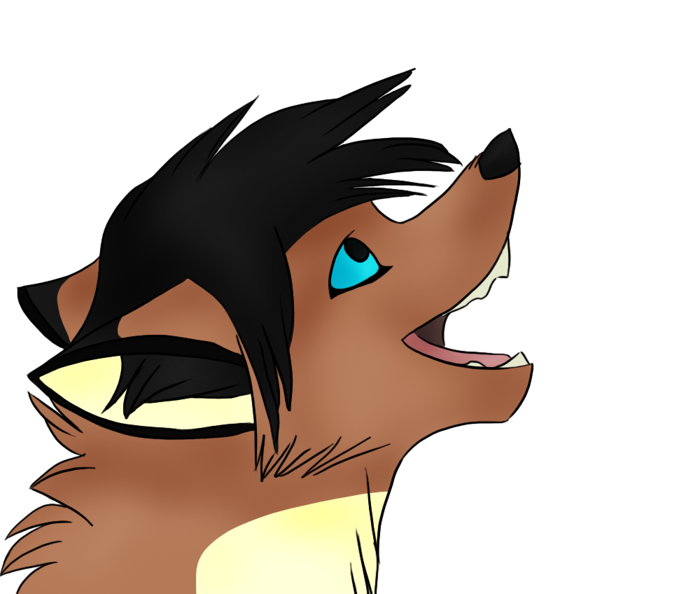 Request - Wolf_432