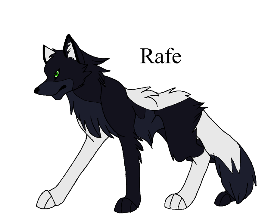 Pup 3 - Rafe