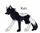 Pup 3 - Rafe