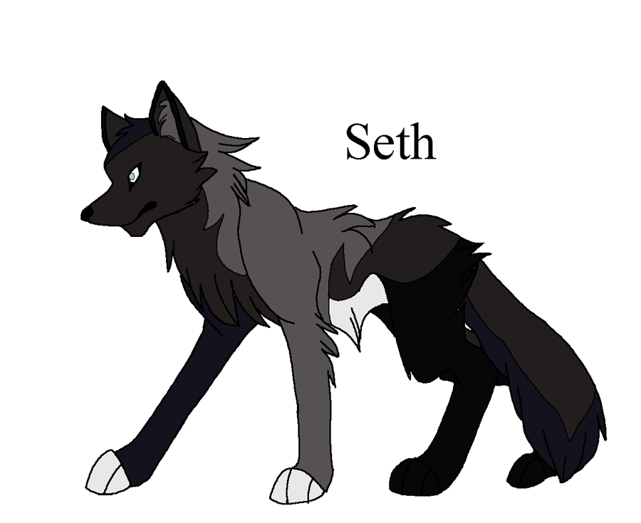 Pup 4 - Seth