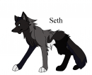 Pup 4 - Seth