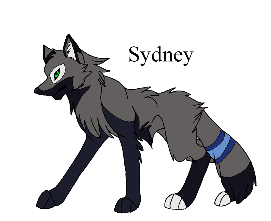 Pup 5 - Seth