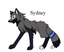 Pup 5 - Seth