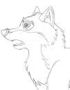 Young Balto
