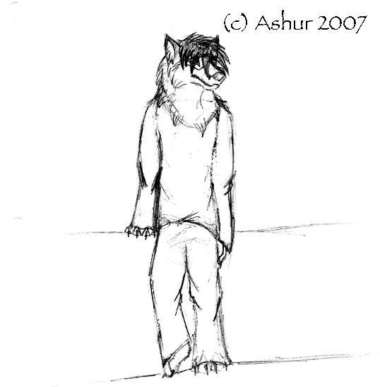 Anthro
