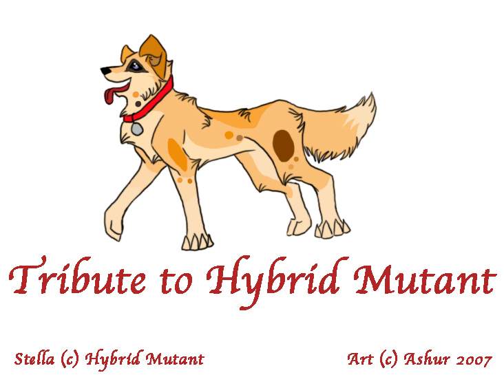 Tribute to Hybrid Mutant