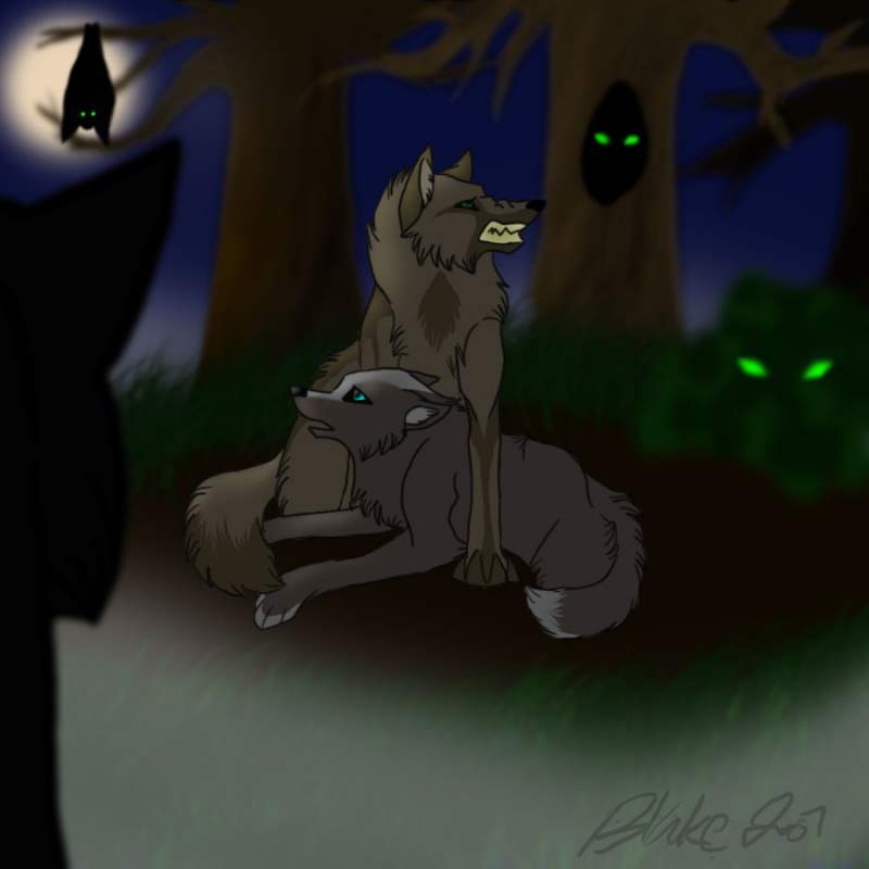 Contest Entry