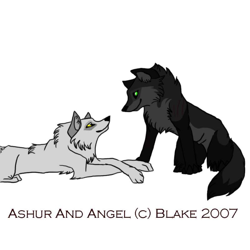 Ashur and Angel