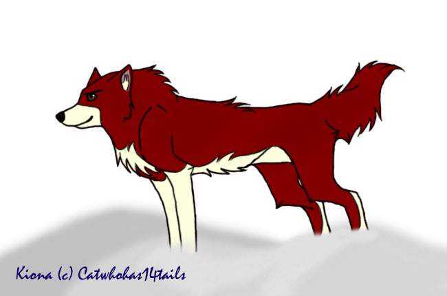 Kiona (c) catwhohas14tails