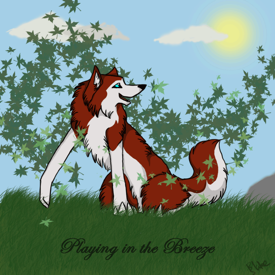 Request - JennaWolf