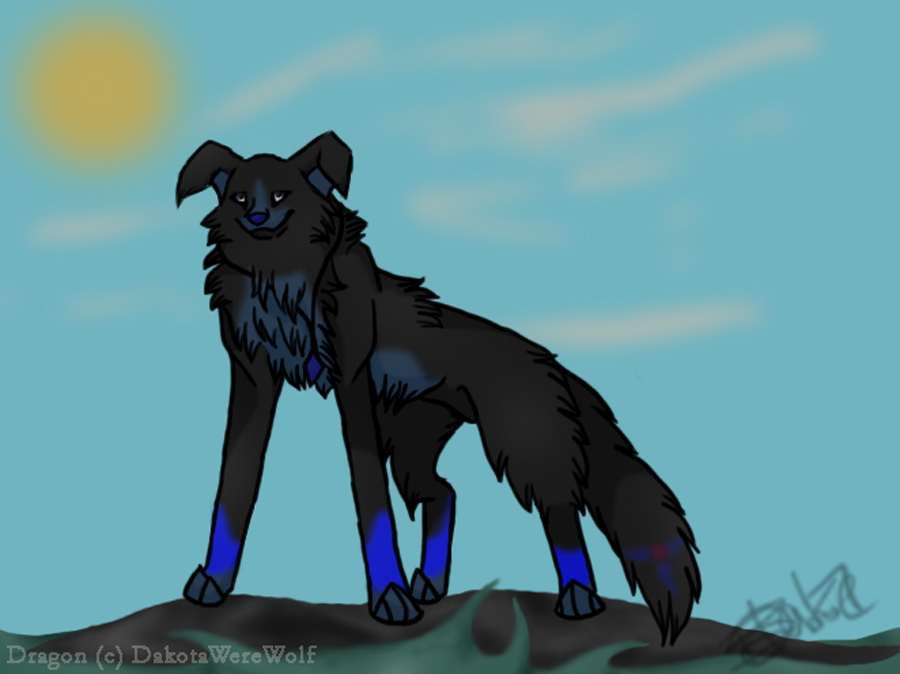 Request - DakotaWereWolf