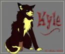 Kyle