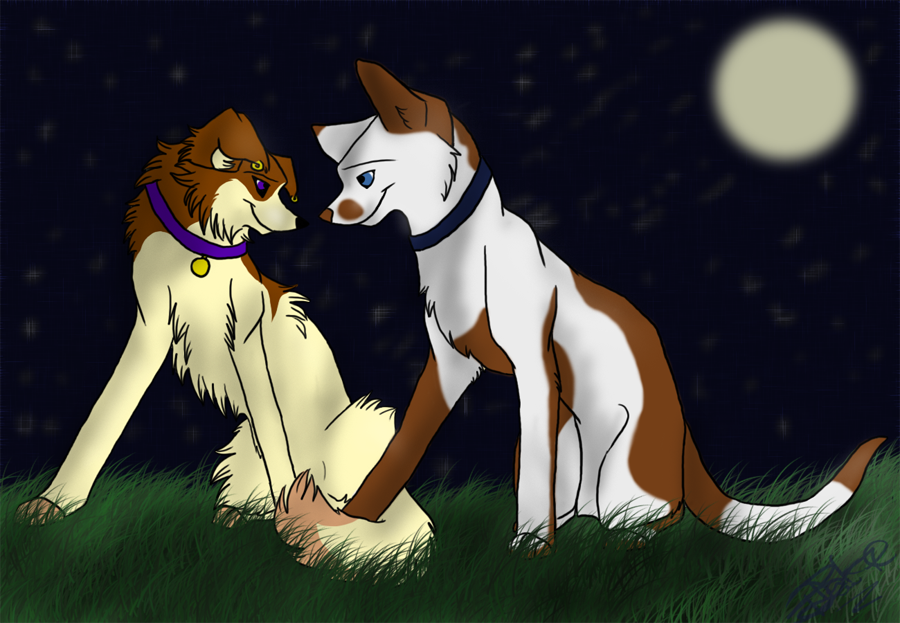 Lucy and her mate, Voltage ( (c) Faithful~friend)