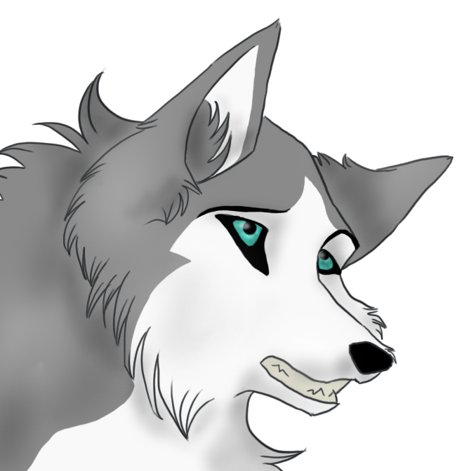 Request - Tealhusky