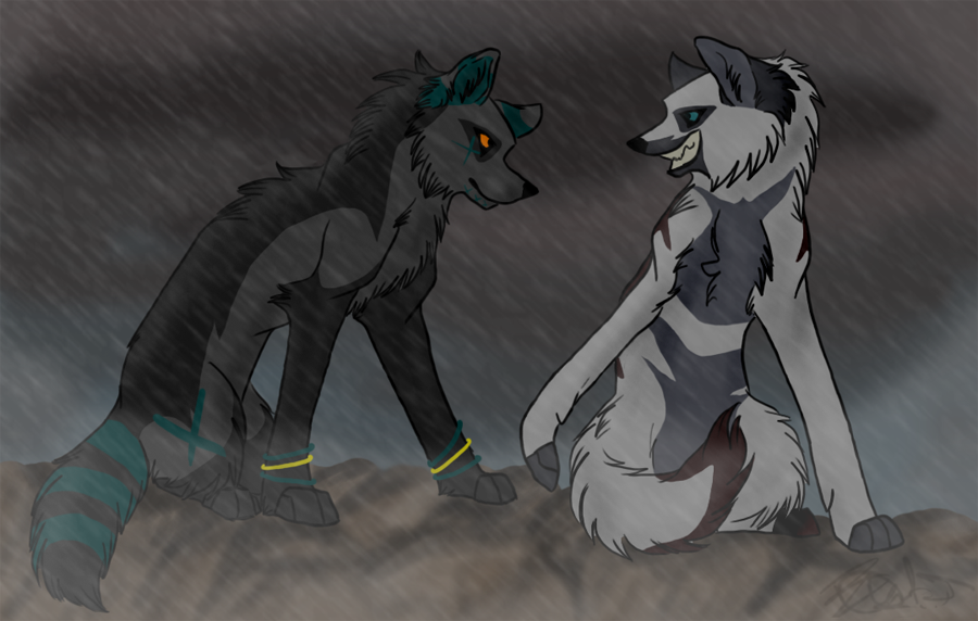 Trade With Kiwa