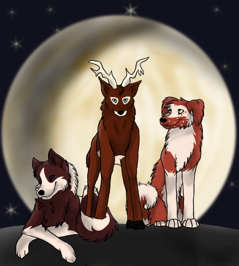 Trade With Beautifull Disaster