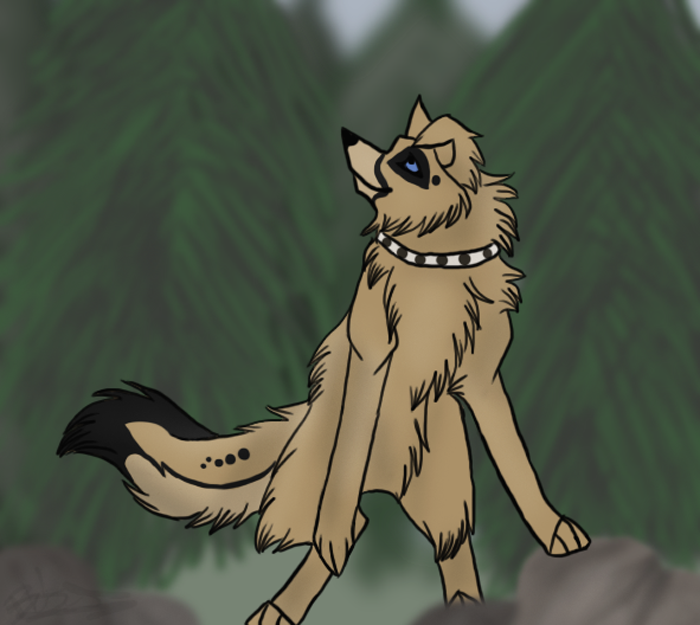 Request - Wingedwolfhunny