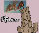 Felidae