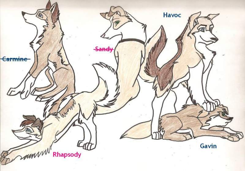 Sandy's Litter mates