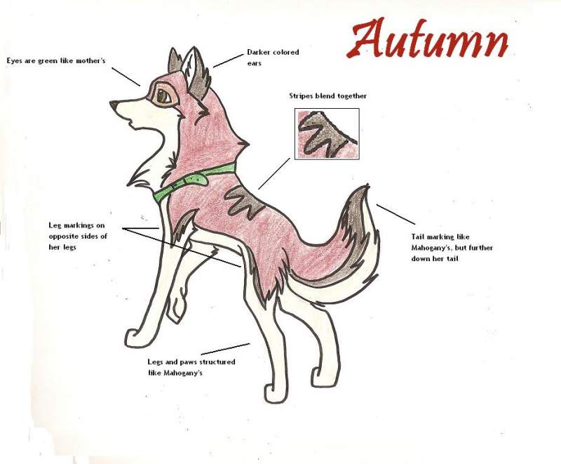 AUtumn Referance