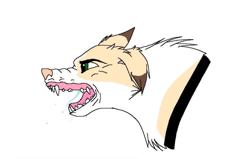 RAWR!