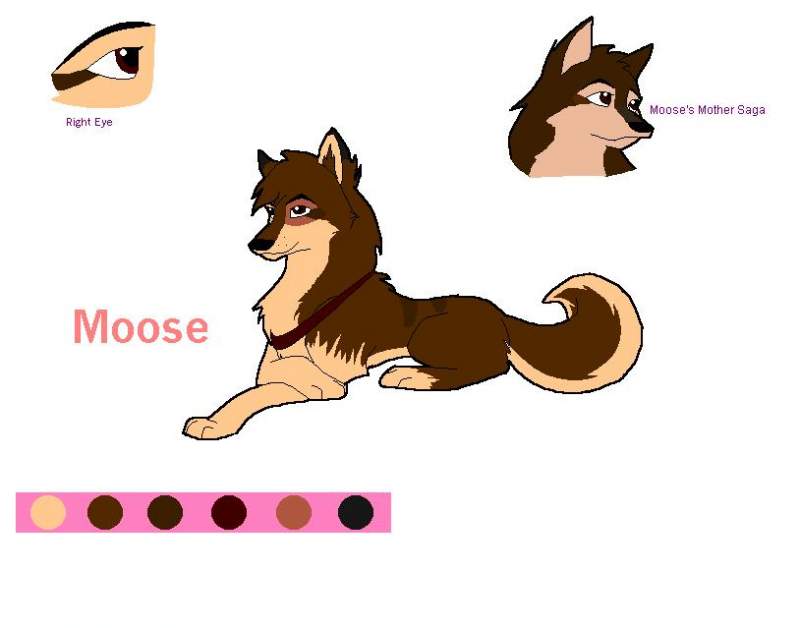 *New Character* Moose
