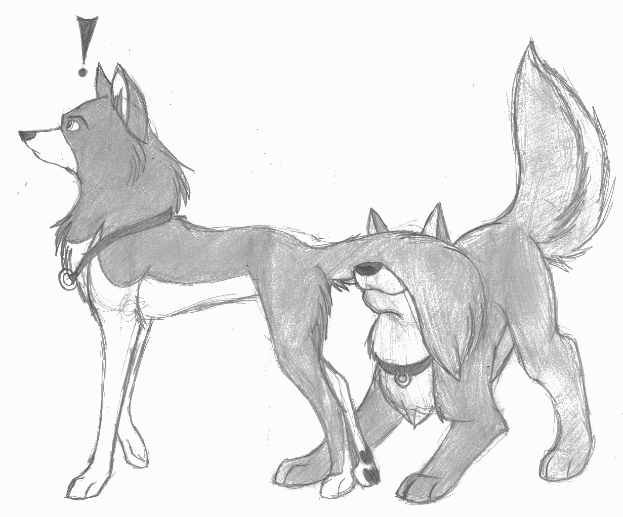 Kiona and Kirby for Cat