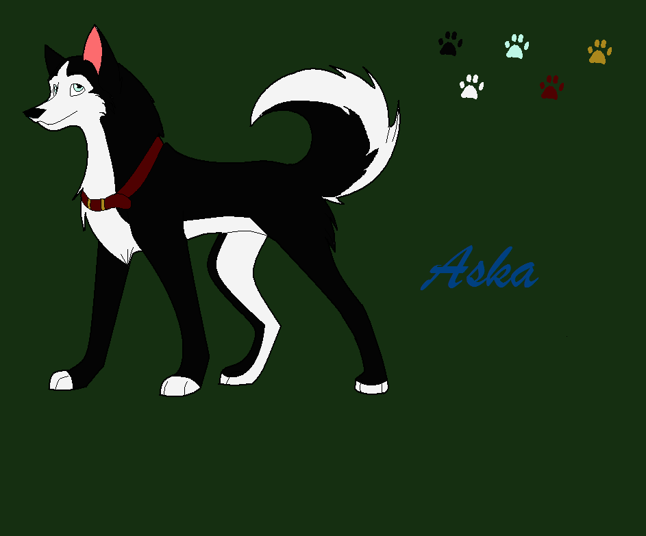 Aska Reference
