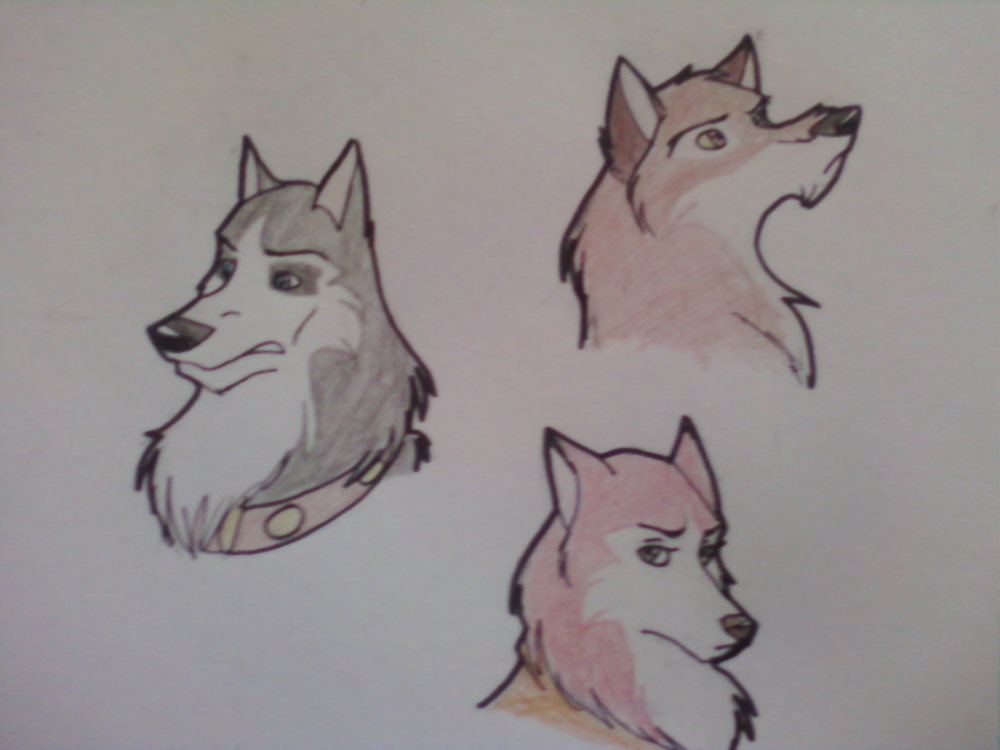 Balto Jenna Steele...