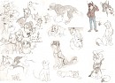 Dynamic Doggy Dumperoo!