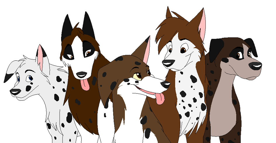 Spotty Siblings