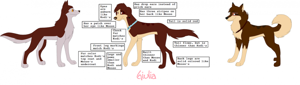 Kodi Giulia Moose Comparison