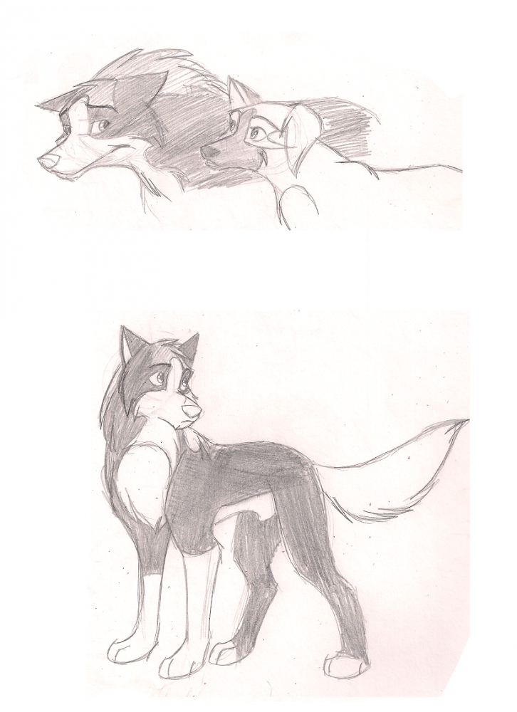 Rounder Doodles and a Bliss