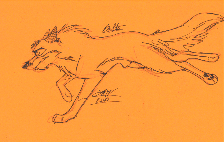 Balto