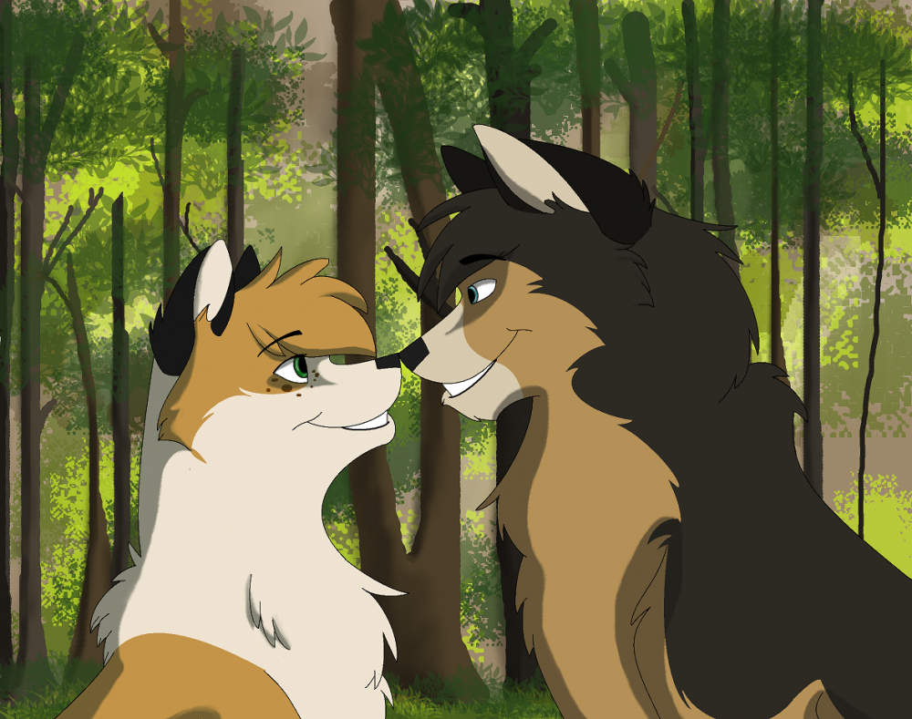 Contest Entry