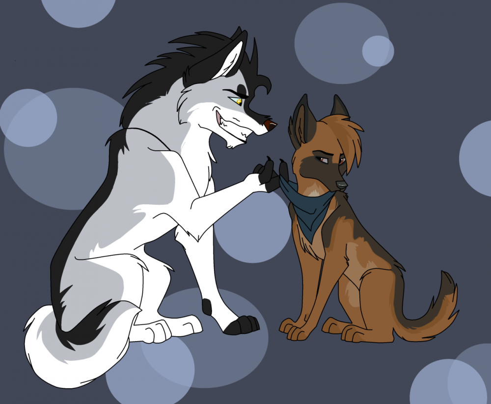 Commission for Saske