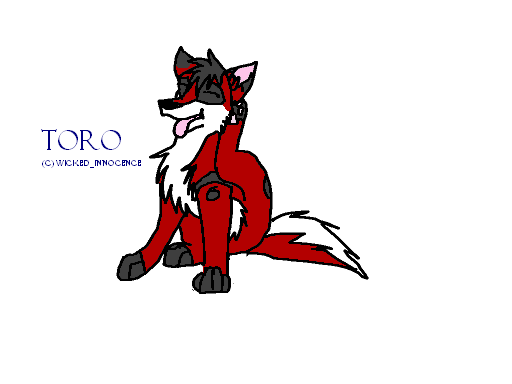 Toro