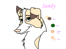 Sandy Adult (referance)