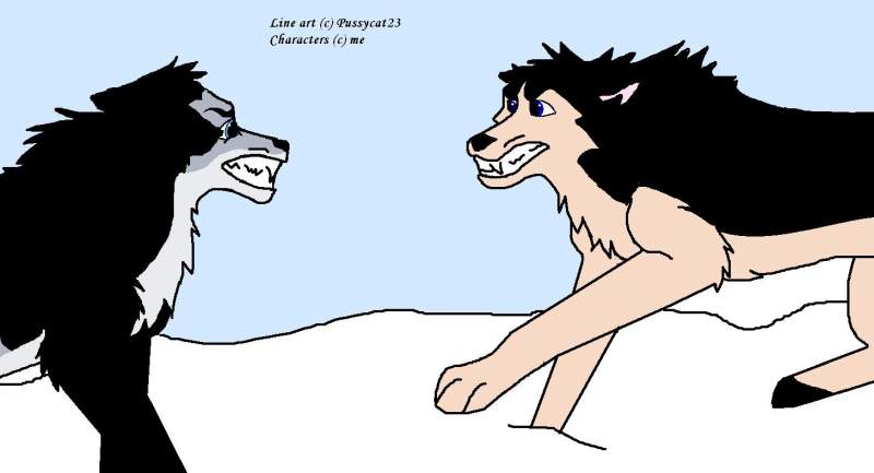 Grey vs. Rono