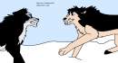 Grey vs. Rono