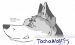 TashaWolf95