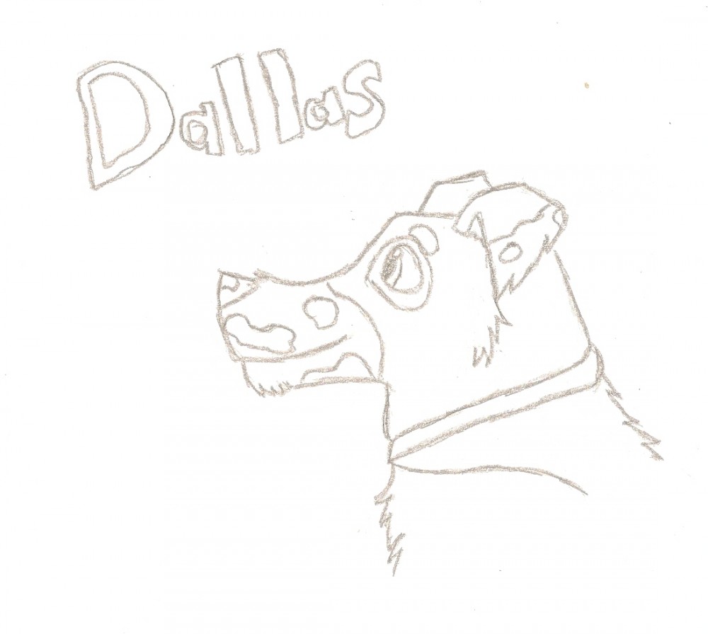 Dallas 