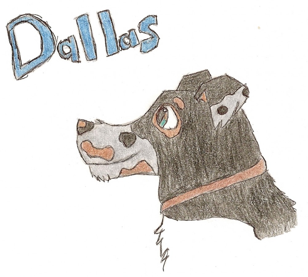 Dallas in Color