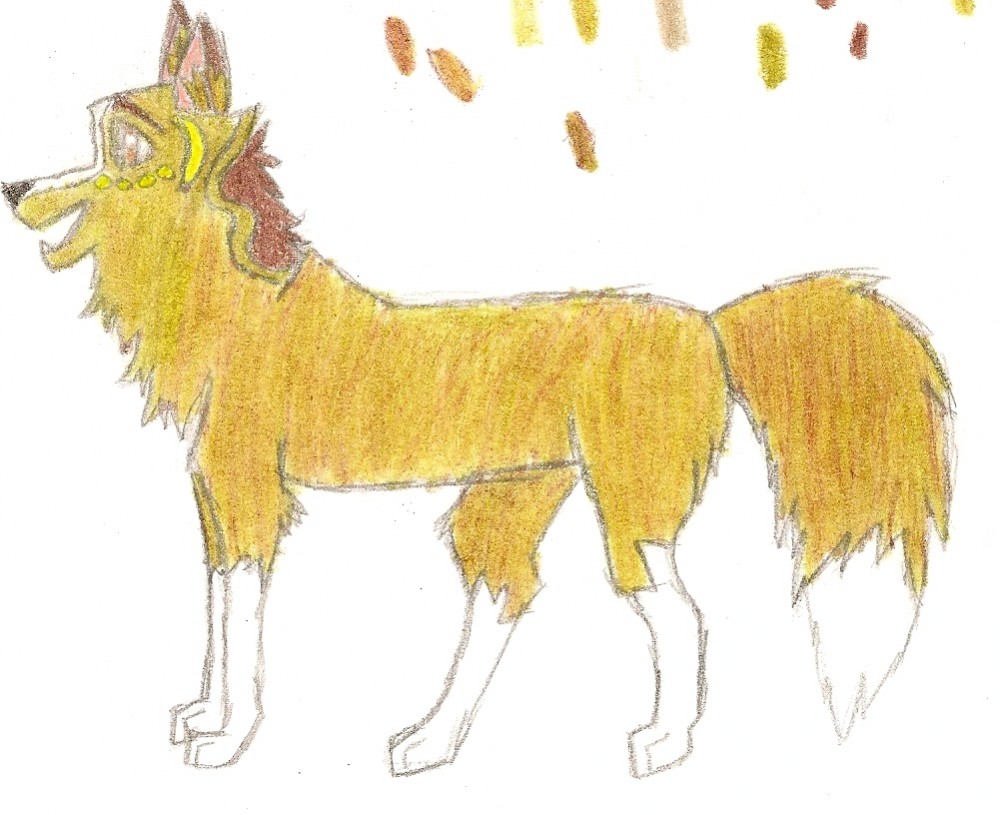 Aspin in color! 8D