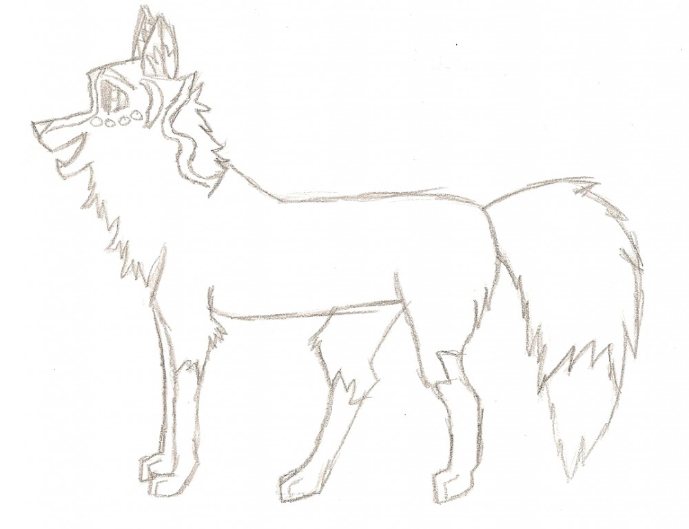 Aspin..again