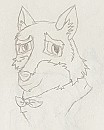 An old Balto Drawing 
